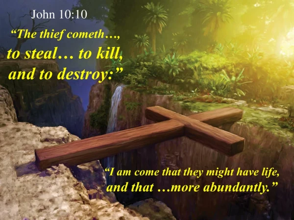 John 10:10 “The thief cometh…, to steal… to kill, and to destroy:”