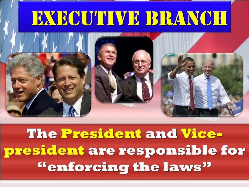 executive branch