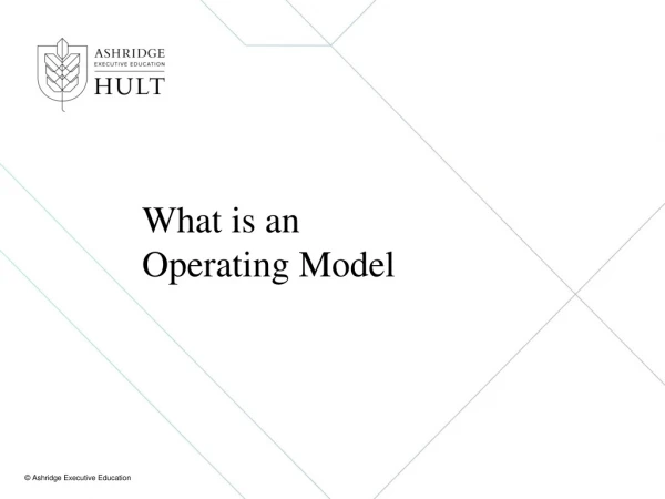 What is an Operating Model