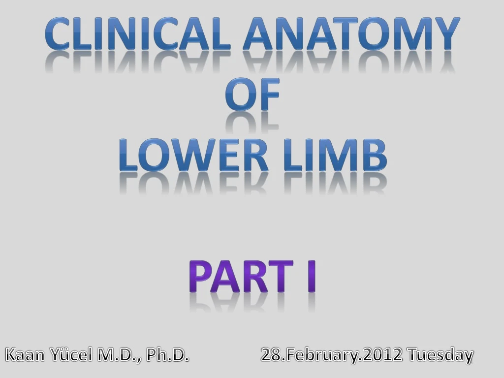 clinical anatomy of lower limb part i