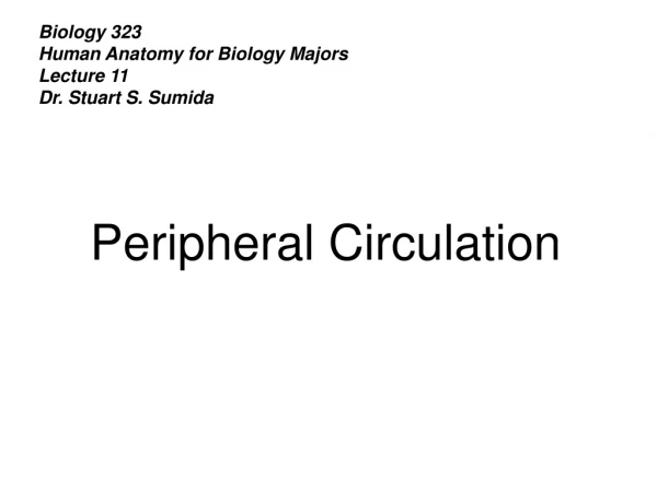 Biology 323 Human Anatomy for Biology Majors Lecture 11 Dr. Stuart S. Sumida