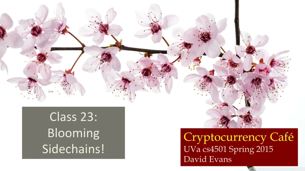 class 23 blooming sidechains