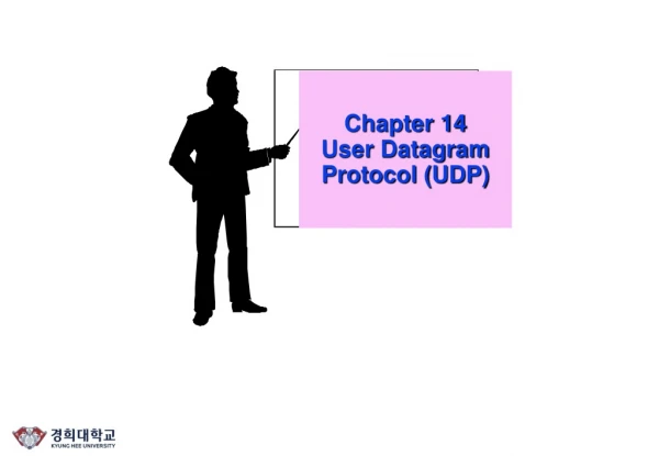 Chapter 14 User Datagram Protocol (UDP)