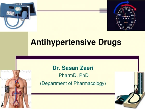 Dr. Sasan Zaeri PharmD, PhD (Department of Pharmacology)