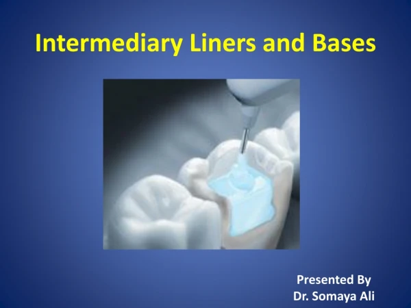Intermediary Liners and Bases