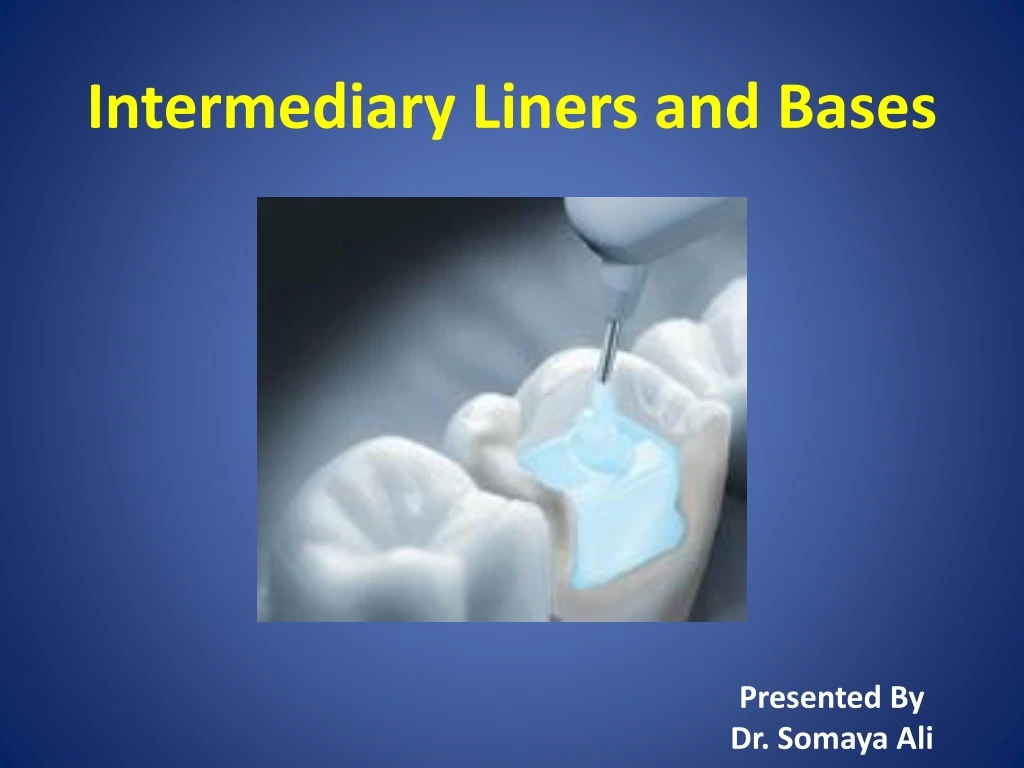 intermediary liners and bases
