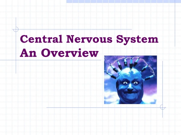 Central Nervous System An Overview