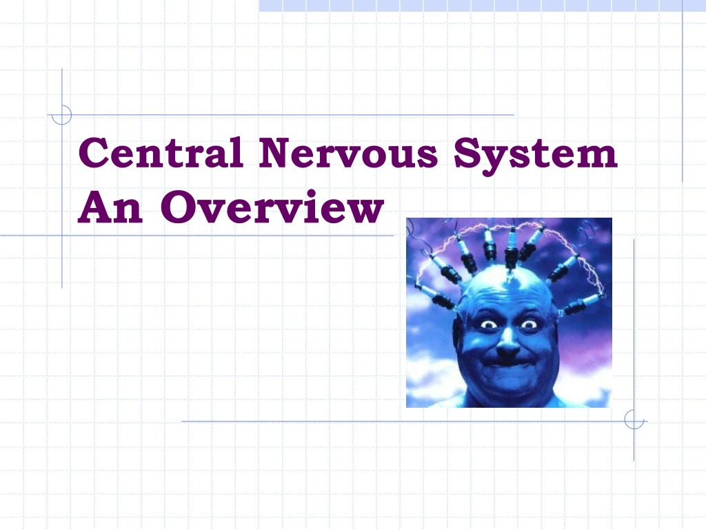 central nervous system an overview