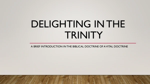 Delighting in the 				Trinity