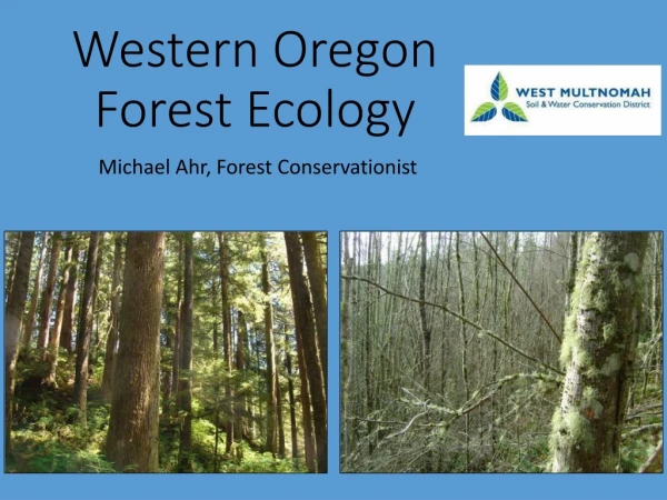 Western Oregon Forest Ecology