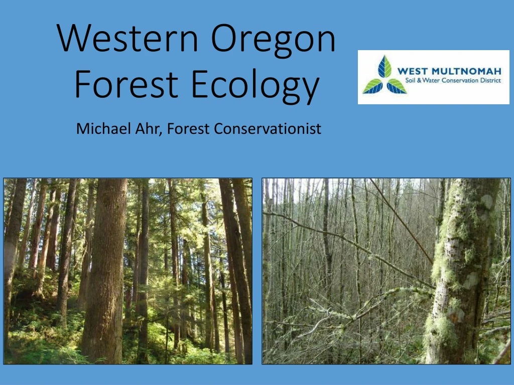 western oregon forest ecology