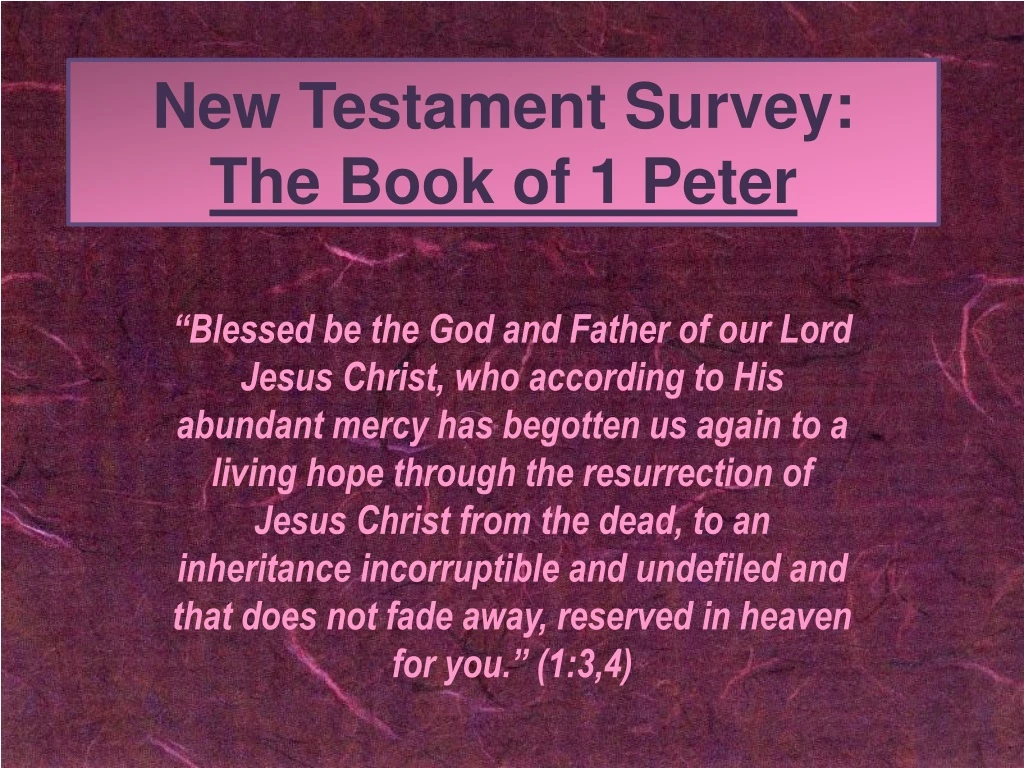 new testament survey the book of 1 peter