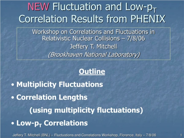 NEW Fluctuation and Low-p T Correlation Results from PHENIX