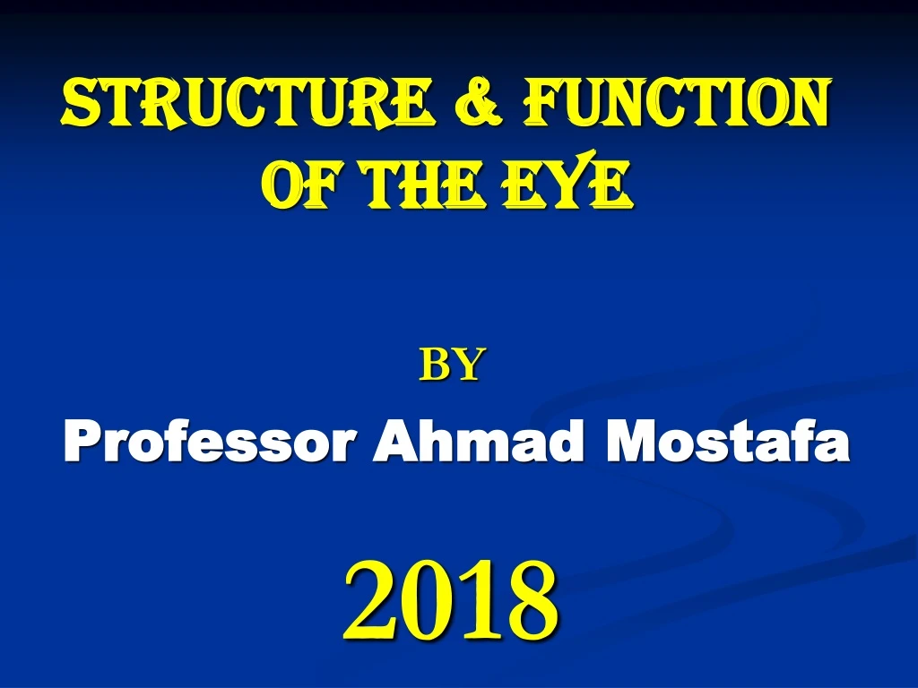 structure function of the eye