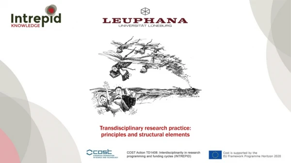 Transdisciplinary research practice: principles and structural elements