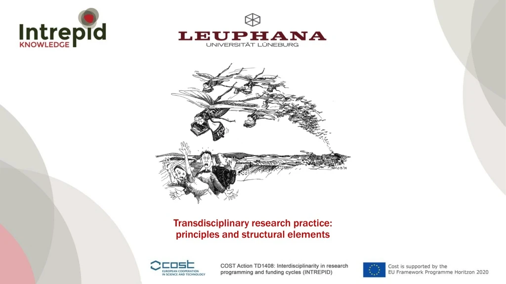 transdisciplinary research practice principles and structural elements