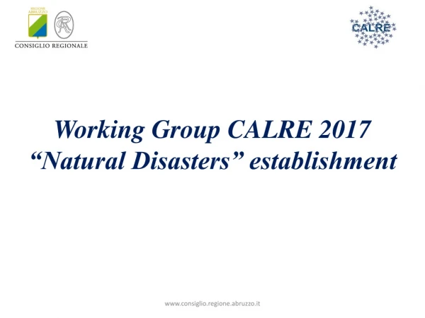 Working Group CALRE 2017 “Natural Disasters” establishment