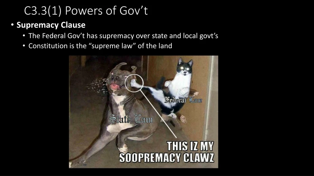 c3 3 1 powers of gov t