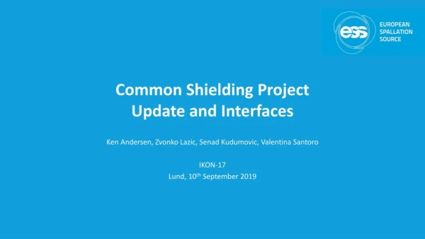 Common Shielding Project Update and Interfaces