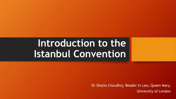 Introduction to the Istanbul Convention