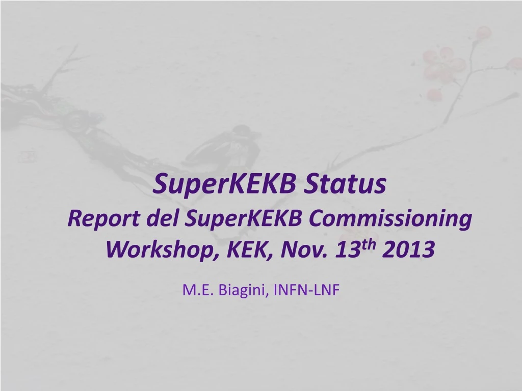 superkekb status report del superkekb commissioning workshop kek nov 13 th 2013