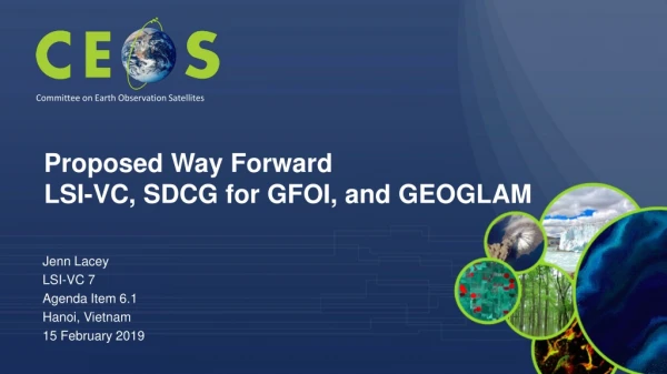 Proposed Way Forward LSI-VC, SDCG for GFOI, and GEOGLAM