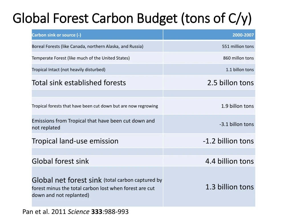 global forest carbon budget tons of c y