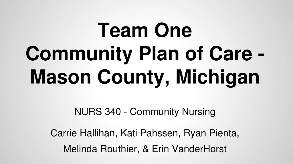 team one community plan of care mason county michigan nurs 340 community nursing