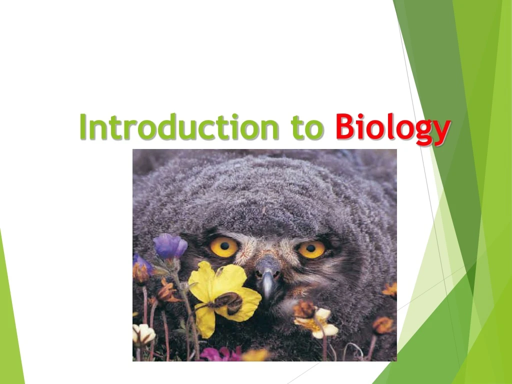 introduction to biology