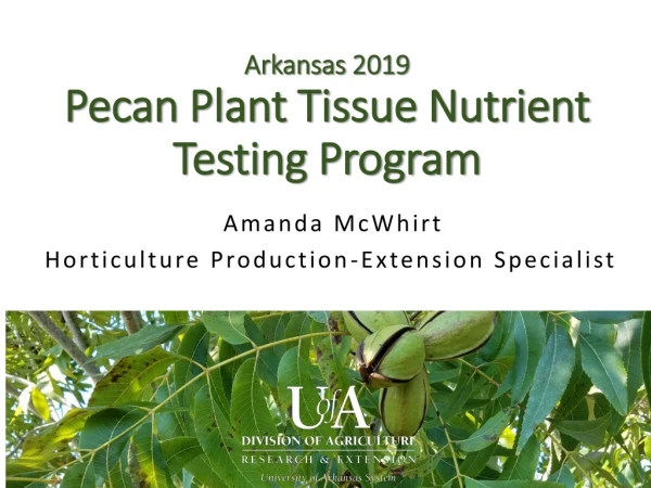 Arkansas 2019 Pecan Plant Tissue Nutrient Testing Program