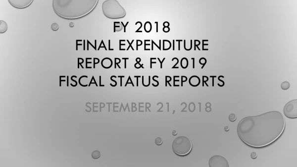 FY 2018 Final Expenditure Report &amp; FY 2019 Fiscal Status Reports