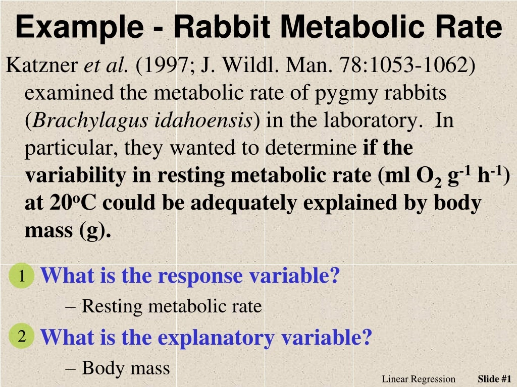 example rabbit metabolic rate
