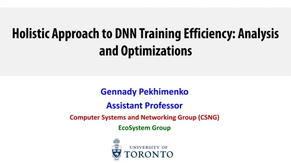 Holistic Approach to DNN Training Efficiency: Analysis and Optimizations