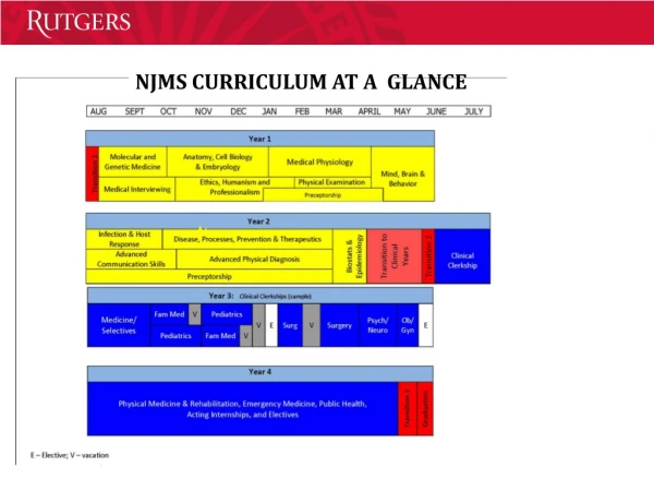 NJMS CURRICULUM AT A GLANCE