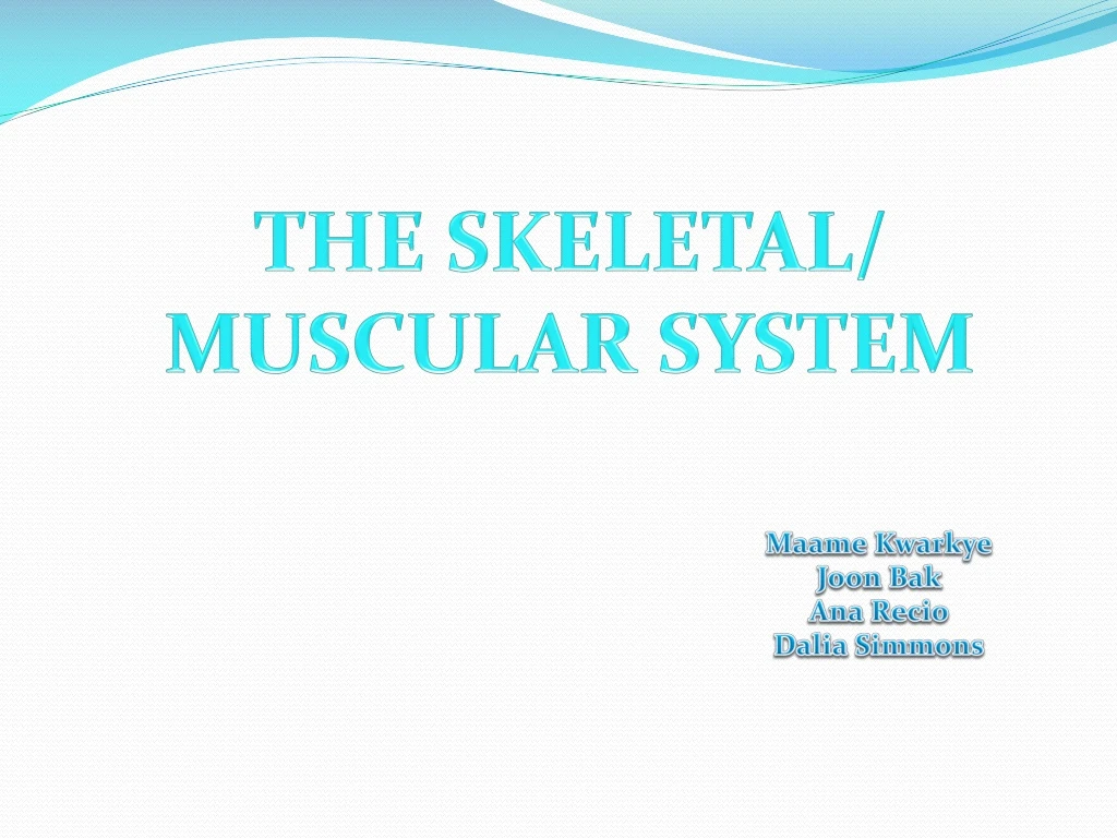 the skeletal muscular system