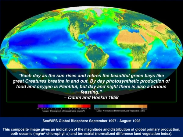 SeaWiFS Global Biosphere September 1997 - August 1998