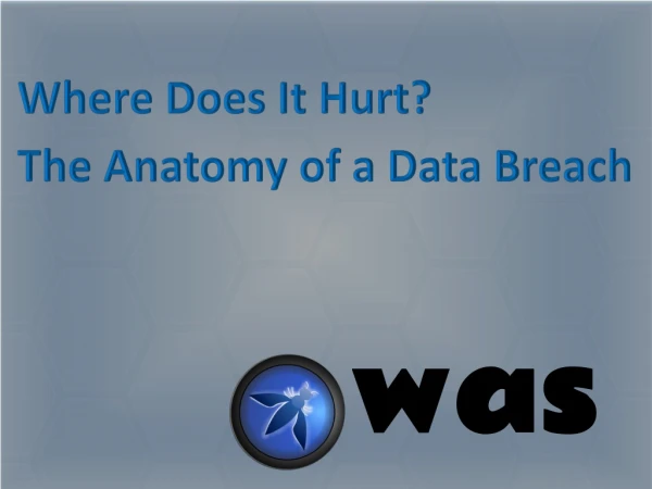 Where Does It Hurt? The Anatomy of a Data Breach