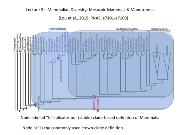 Lecture 3 – Mammalian Diversity: Mesozoic Mammals &amp; Monotremes
