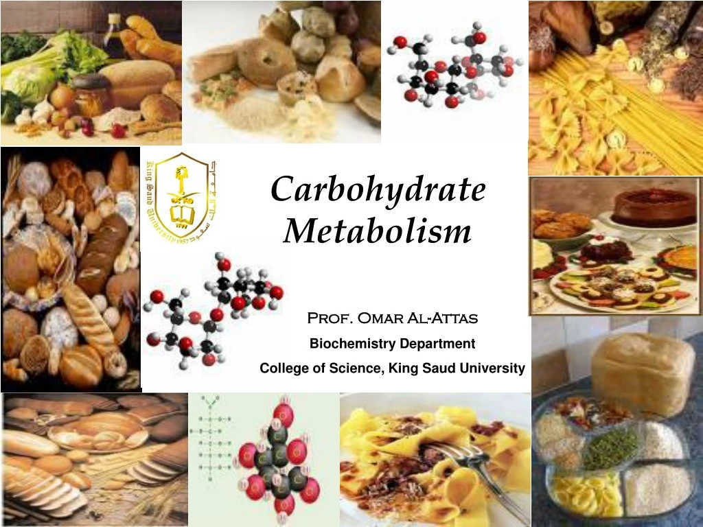 carbohydrate metabolism