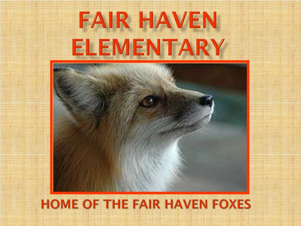 fair haven elementary
