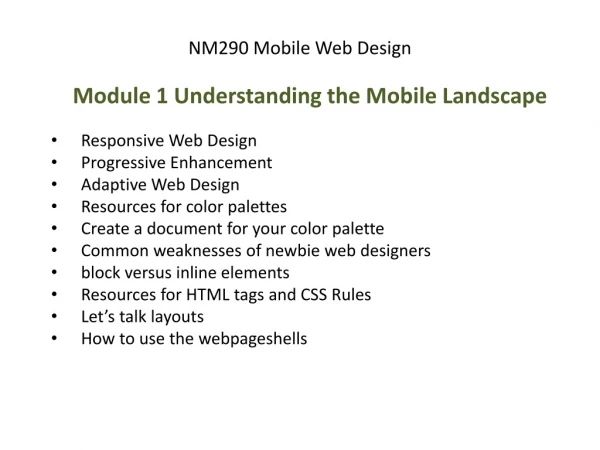 NM290 Mobile Web Design