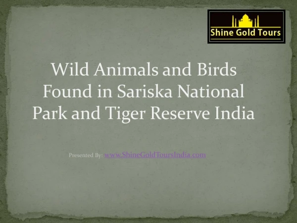 Wild Animals and Birds Found in Sariska National Park and Tiger Reserve India