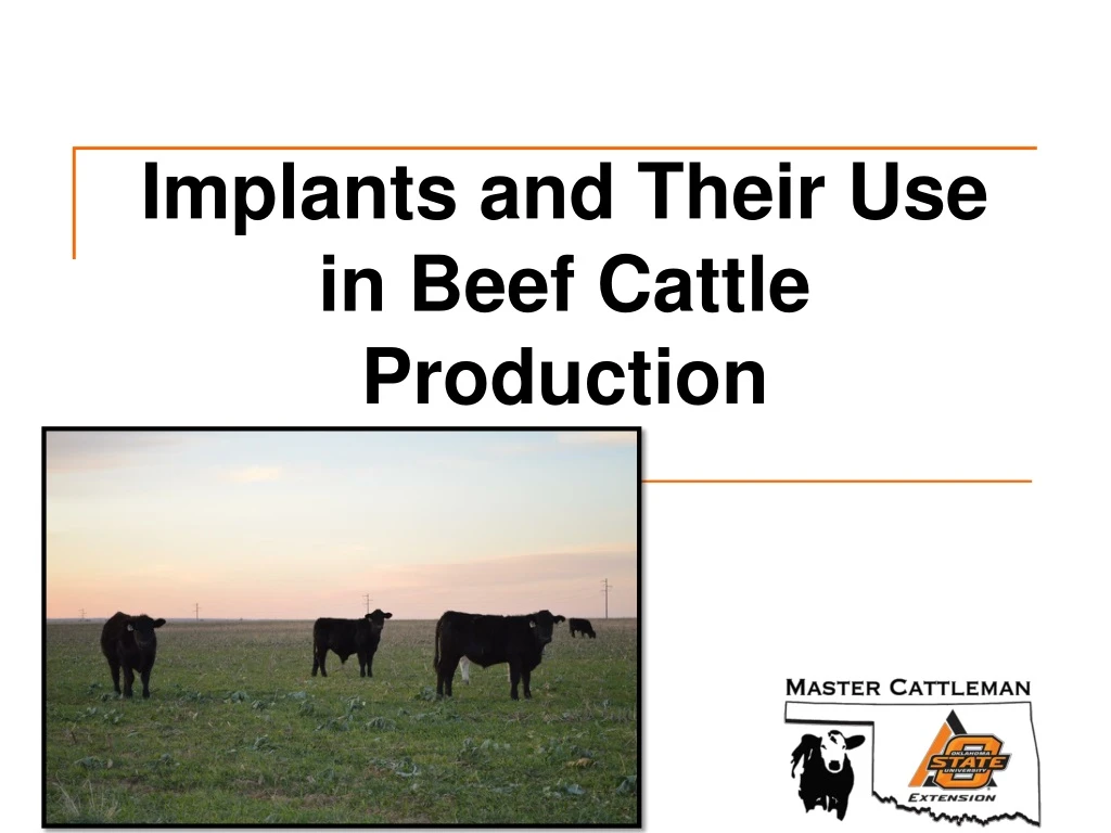 implants and their use in beef cattle production