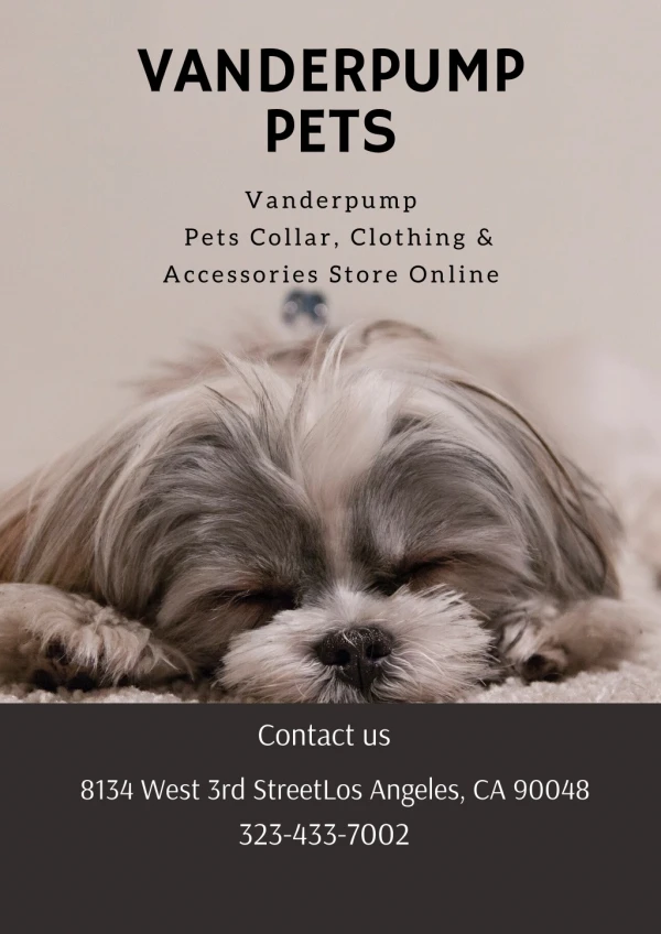 Vanderpump Pets Collar, Clothing &amp; Accessories Store Online