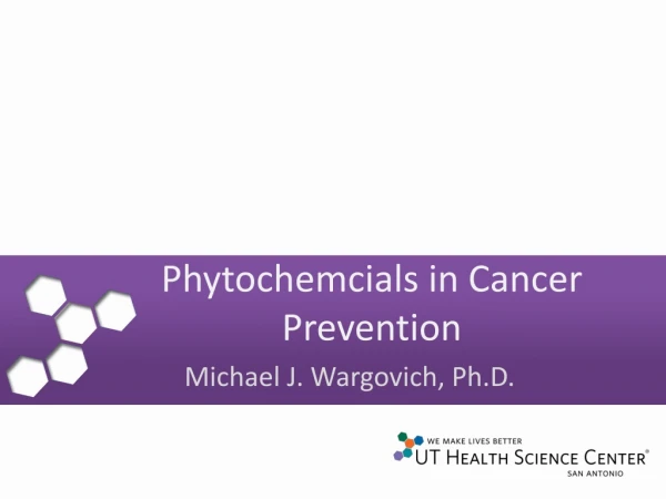 Phytochemcials in Cancer Prevention