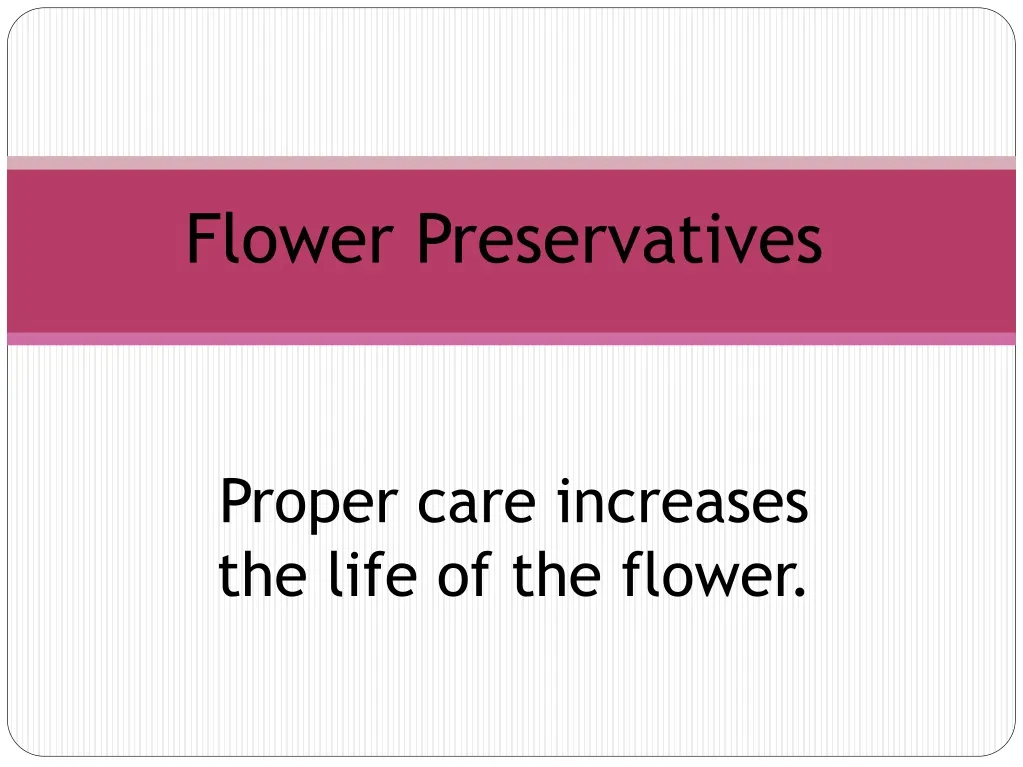 flower preservatives