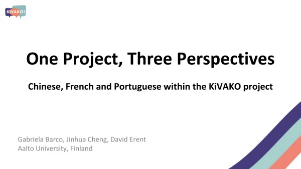 One Project, Three Perspectives
