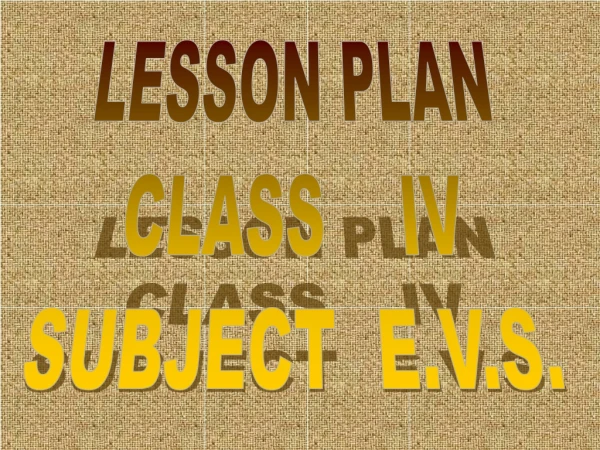 LESSON PLAN CLASS IV SUBJECT E.V.S.