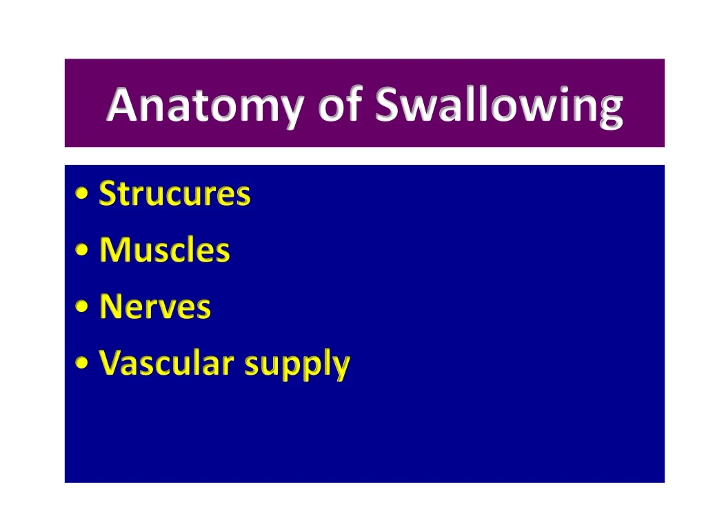 anatomy of swallowing