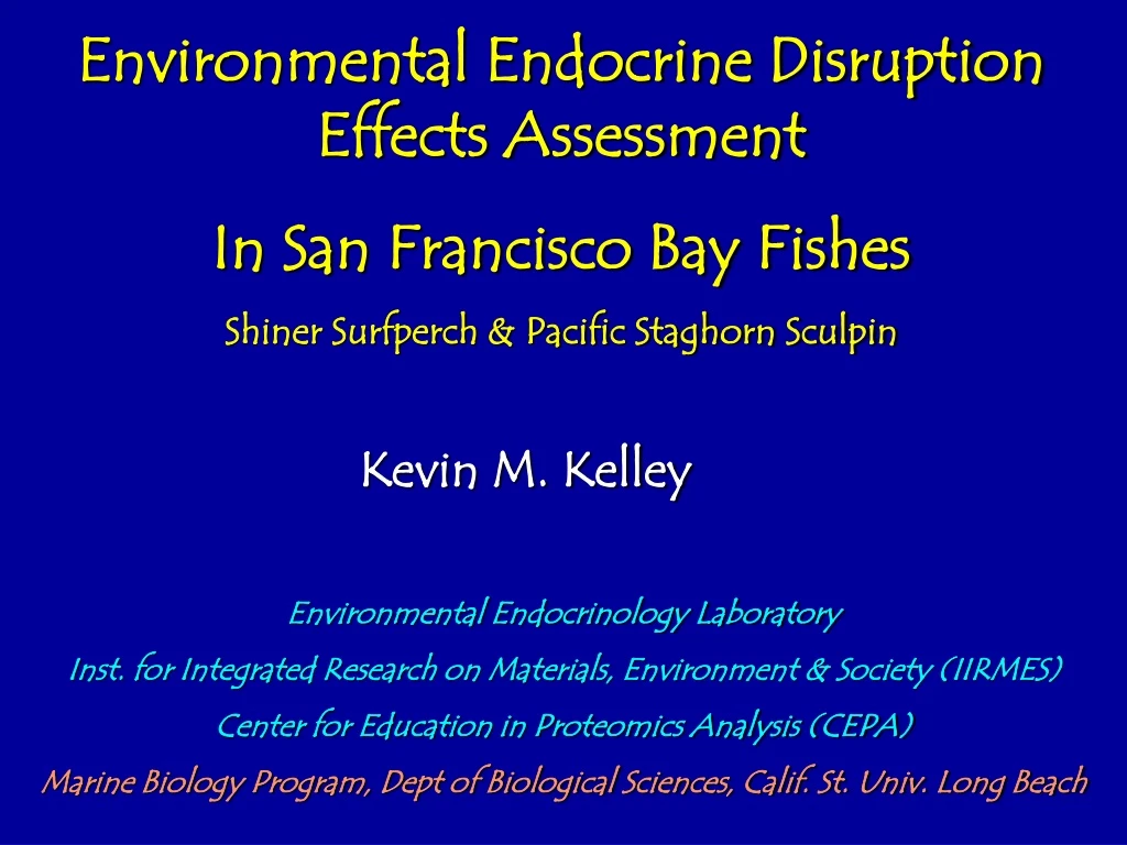environmental endocrine disruption effects